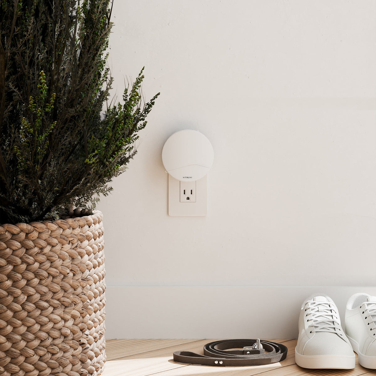 Build Your Own Humidifier & Push Diffuser Bundle